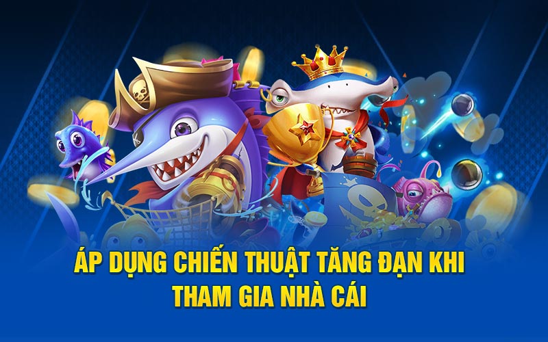 Áp dụng chiến thuật tăng dần khi tham gia nhà cái