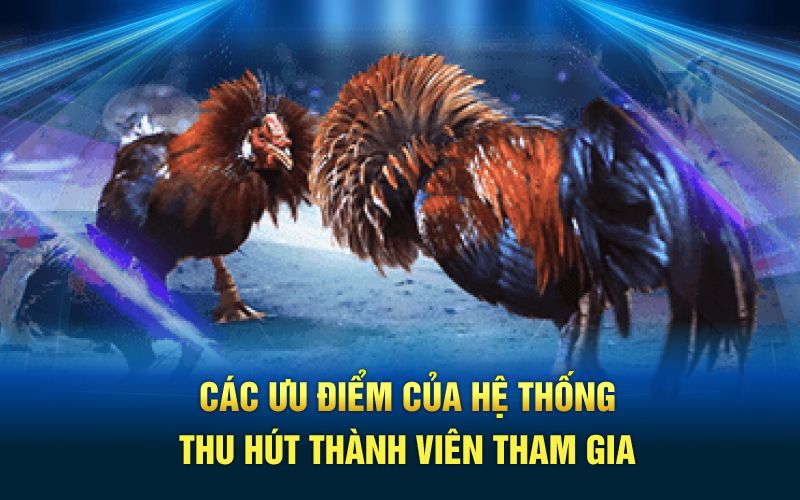 Các ưu điểm của hệ thống thu hút thành viên tham gia