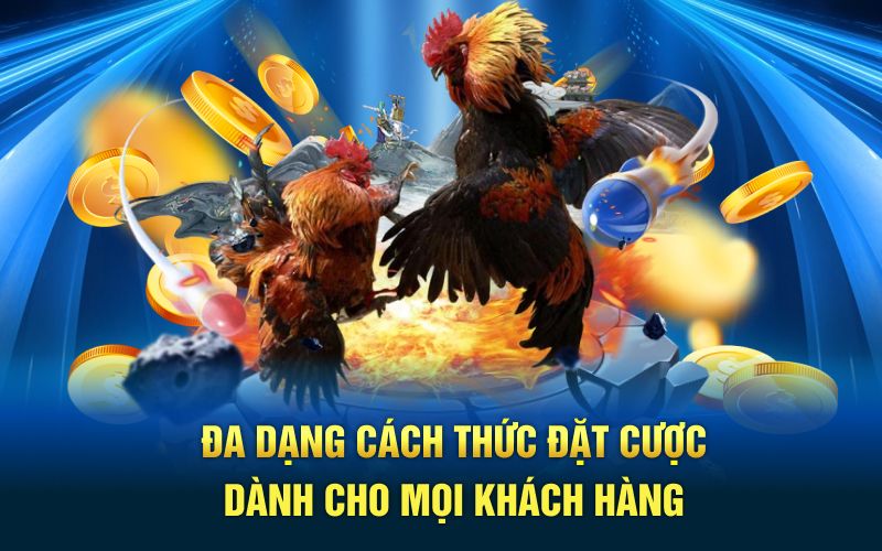 Đa dạng cách thức đặt cược dành cho mọi khách hàng
