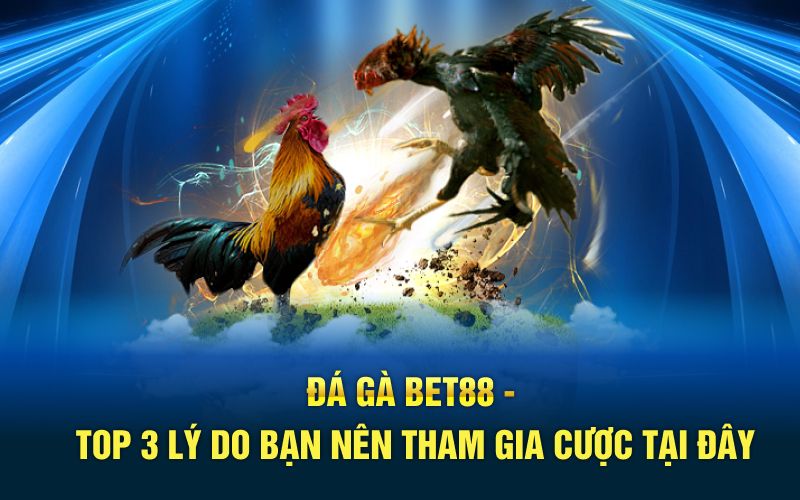 Đá gà bet88