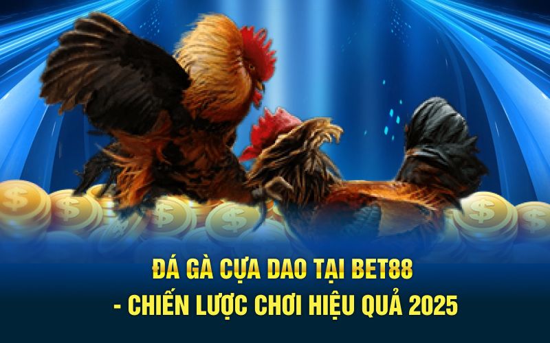 Đá gà cựa dao