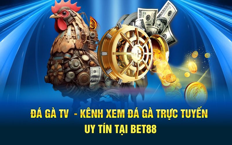 Đá gà tv