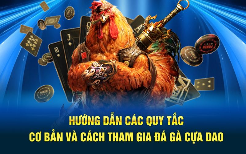 Hướng dẫn các quy tắc cơ bản và cách tham gia đá gà cựa dao