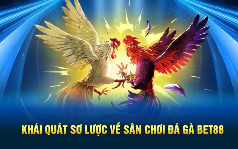 Khái quát sơ lược về sân chơi đá gà bet88