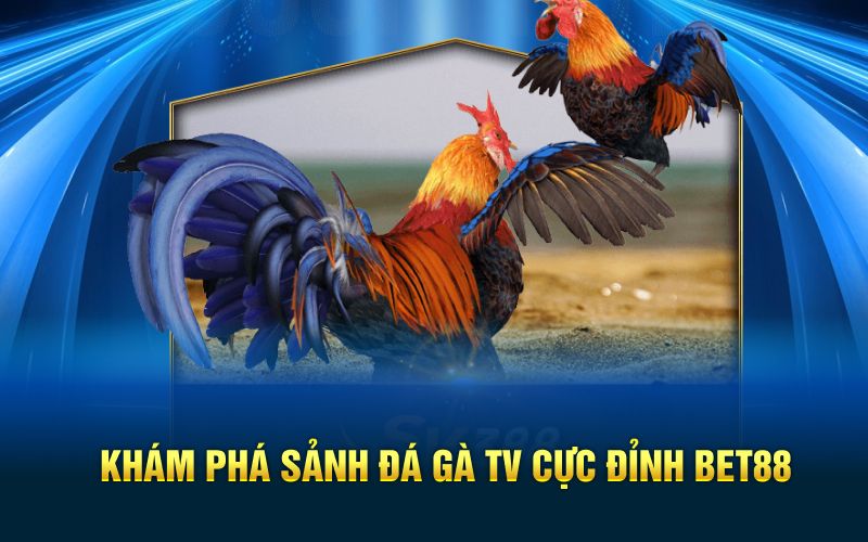 Khám phá sảnh đá gà tv cực đỉnh bet88