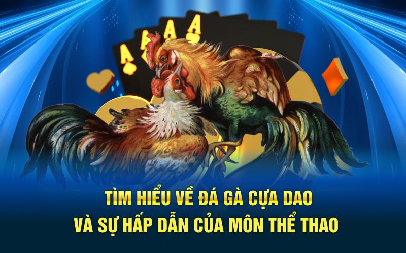 Tìm hiểu về đá gà cựa dao và sự hấp dẫn của môn thể thao